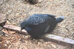 DSC_9100.JPG